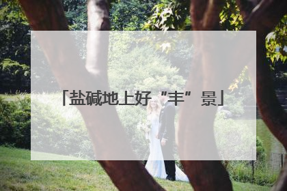 盐碱地上好“丰”景