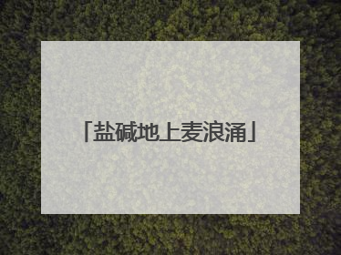 盐碱地上麦浪涌