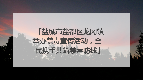 盐城市盐都区龙冈镇举办禁毒宣传活动，全民携手共筑禁毒防线
