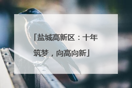 盐城高新区：十年筑梦，向高向新