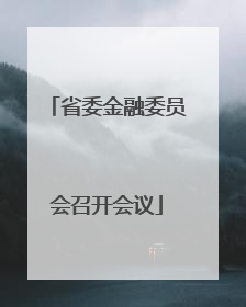 省委金融委员会召开会议