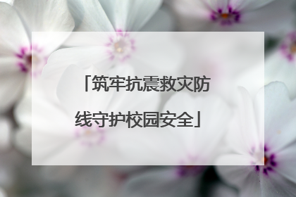 筑牢抗震救灾防线守护校园安全