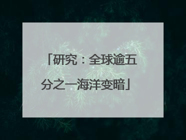 研究：全球逾五分之一海洋变暗