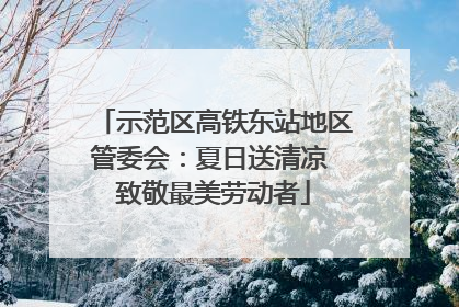 示范区高铁东站地区管委会：夏日送清凉 致敬最美劳动者