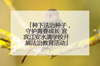 种下法治种子，守护青春成长 宜宾江安水清学校开展法治教育活动