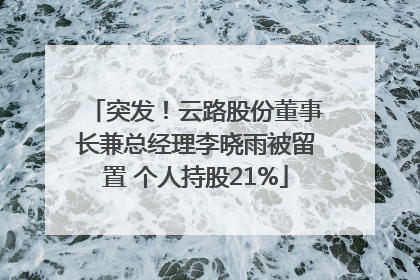 突发！云路股份董事长兼总经理李晓雨被留置 个人持股21%