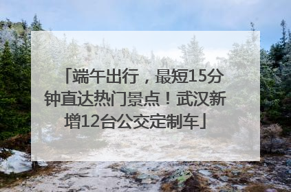 端午出行，最短15分钟直达热门景点！武汉新增12台公交定制车