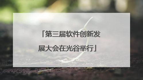 第三届软件创新发展大会在光谷举行