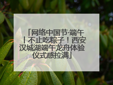 网络中国节·端午丨不止吃粽子！西安汉城湖端午龙舟体验仪式感拉满