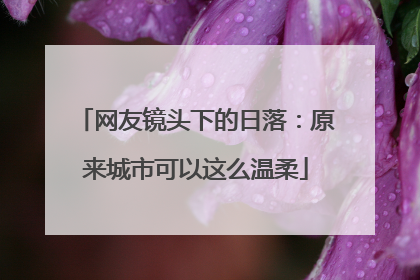 网友镜头下的日落：原来城市可以这么温柔