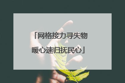 网格接力寻失物 暖心速归抚民心