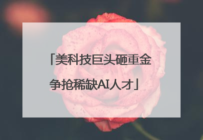 美科技巨头砸重金争抢稀缺AI人才