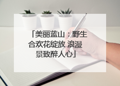 美丽蓝山：野生合欢花绽放 浪漫景致醉人心