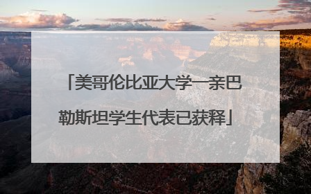 美哥伦比亚大学一亲巴勒斯坦学生代表已获释