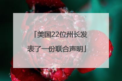 美国22位州长发表了一份联合声明