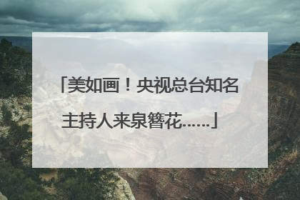 美如画！央视总台知名主持人来泉簪花……