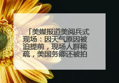 美媒报道美阅兵式现场：因天气原因被迫提前，现场人群稀疏，美国务卿还被拍到打哈欠