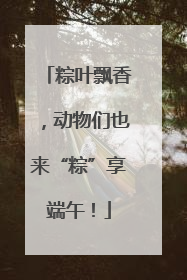 粽叶飘香，动物们也来“粽”享端午！