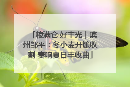 粮满仓·好丰光｜滨州邹平：冬小麦开镰收割 奏响夏日丰收曲