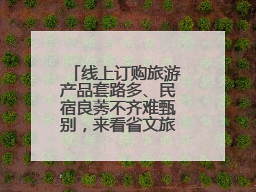 线上订购旅游产品套路多、民宿良莠不齐难甄别，来看省文旅厅如何回应？