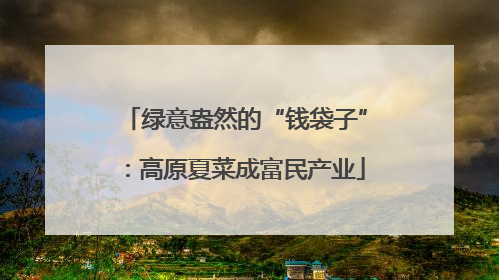 绿意盎然的“钱袋子”：高原夏菜成富民产业