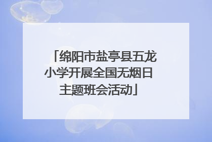 绵阳市盐亭县五龙小学开展全国无烟日主题班会活动