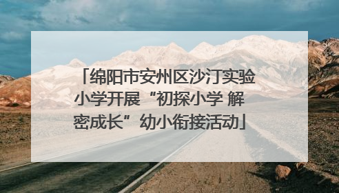 绵阳市安州区沙汀实验小学开展“初探小学 解密成长”幼小衔接活动