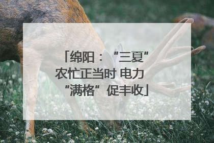 绵阳：“三夏”农忙正当时 电力“满格”促丰收