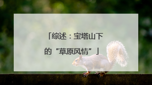 综述：宝塔山下的“草原风情”