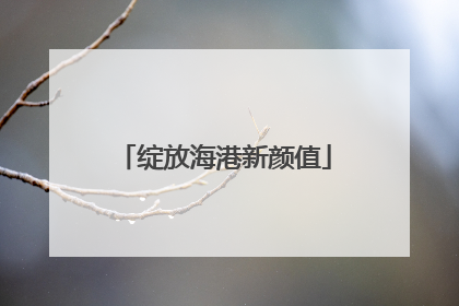 绽放海港新颜值