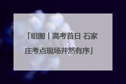 组图丨高考首日 石家庄考点现场井然有序