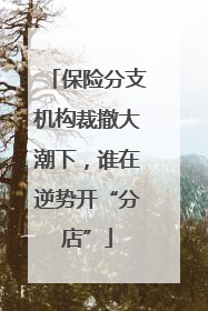 保险分支机构裁撤大潮下，谁在逆势开“分店”