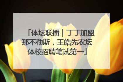 体坛联播｜丁丁加盟那不勒斯，王皓先农坛体校招聘笔试第一