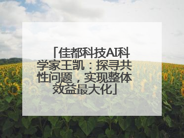 佳都科技AI科学家王凯：探寻共性问题，实现整体效益最大化