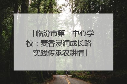 临汾市第一中心学校：麦香浸润成长路 实践传承农耕情