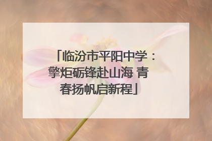 临汾市平阳中学：擎炬砺锋赴山海 青春扬帆启新程
