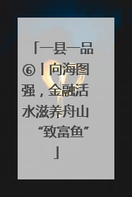 一县一品⑥丨向海图强，金融活水滋养舟山“致富鱼”