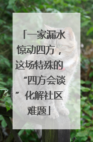一家漏水惊动四方，这场特殊的“四方会谈”化解社区难题