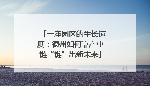 一座园区的生长速度：德州如何靠产业链“链”出新未来