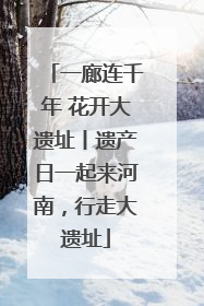一廊连千年 花开大遗址丨遗产日一起来河南，行走大遗址