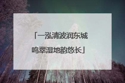 一泓清波润东城 鸣翠湿地韵悠长