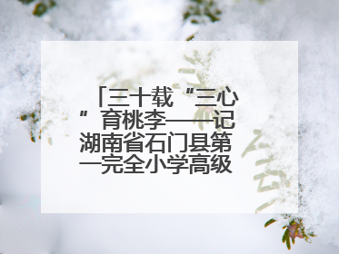 三十载“三心”育桃李——记湖南省石门县第一完全小学高级教师覃玲君