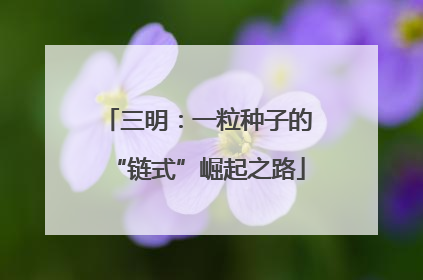 三明：一粒种子的“链式”崛起之路