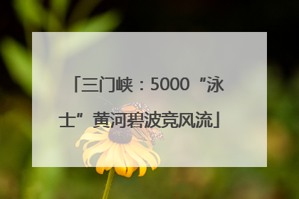 三门峡：5000“泳士”黄河碧波竞风流