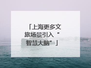 上海更多文旅场景引入“智慧大脑”
