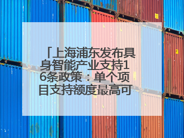 上海浦东发布具身智能产业支持16条政策：单个项目支持额度最高可达亿级