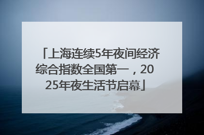 上海连续5年夜间经济综合指数全国第一，2025年夜生活节启幕
