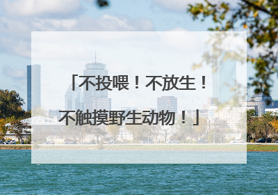 不投喂！不放生！不触摸野生动物！