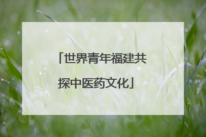 世界青年福建共探中医药文化