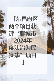 东昌府区两个项目获评“聊城市2024年度法治为民实事”项目